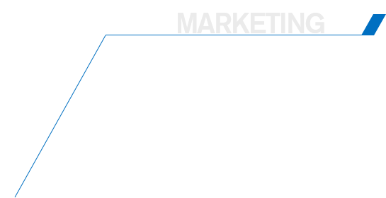 Company Profile